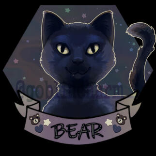 art of cat